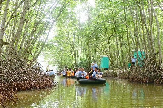 Visitors in a mangrove forest in Can Gio district, HCMC (Photo: SGGP)